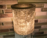 Bronze Birch Sunshine Tree Melter/Warmer Gift Box