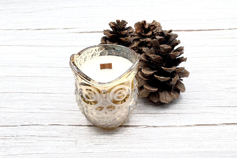 Owl glass candle - Soy Wax